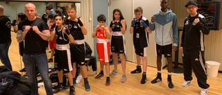 Fem BK30-vinster inför SM i boxning