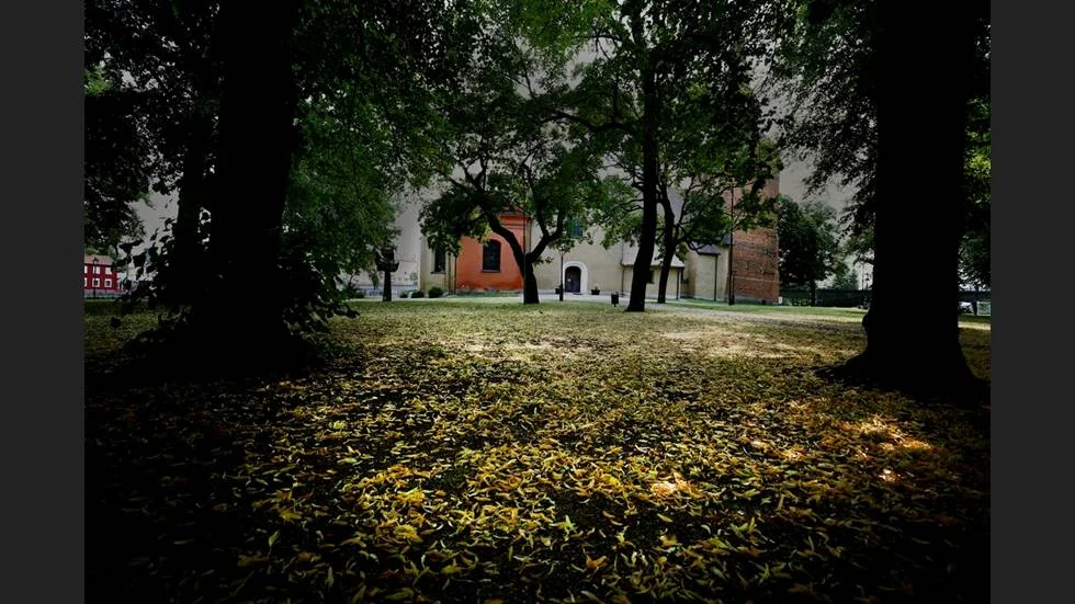 Här i Fors kyrkopark satt en 15-årig flicka på en bänk tillsammans med en klasskamrat när Cykelmannen plötsligt spottade henne i ansiktet. Nu har han dömts för ofredande för att han spottat mot henne.