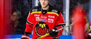 Planen: Så ska Luleå Hockey använda nyförvärv