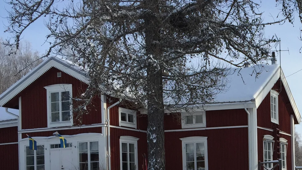 Nu har isvägen till Hindersön öppnats för trafik. Det möttes med jubel i Jopikgården.