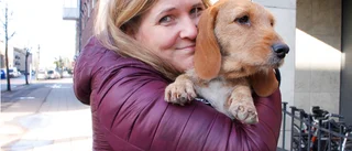 Hunden Svea kom hem efter tio dagar på rymmen
