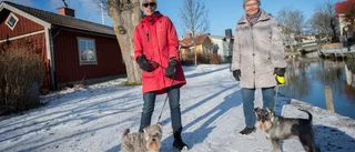 Allt fler slukhål på åpromenaden