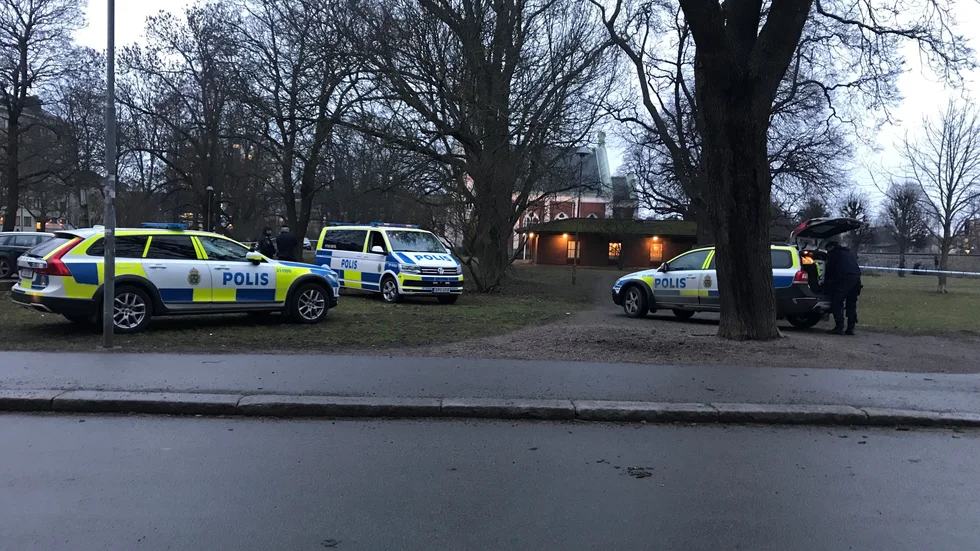 Flera polispatruller larmades till brottsplatsen i Mikaelsparken efter tisdagens knivangrepp.