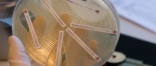 Antibiotikan behöver ett eget Parisavtal