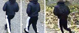 Stortjuv åtalas för 21 villainbrott