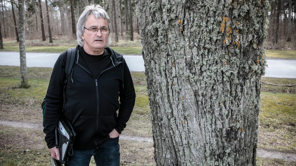 Arne Pettersson, Skogsstyrelsen på Gotland.