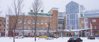 Fortfarande ingen vinter i sikte