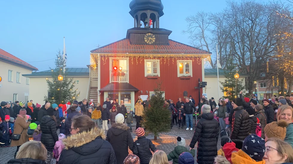 Folkfest på Trosa torg under söndagens julgransplundring. 