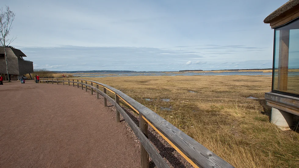 Lördag den 1 februari öppnar naturum Tåkern upp för en ny livfull säsong.