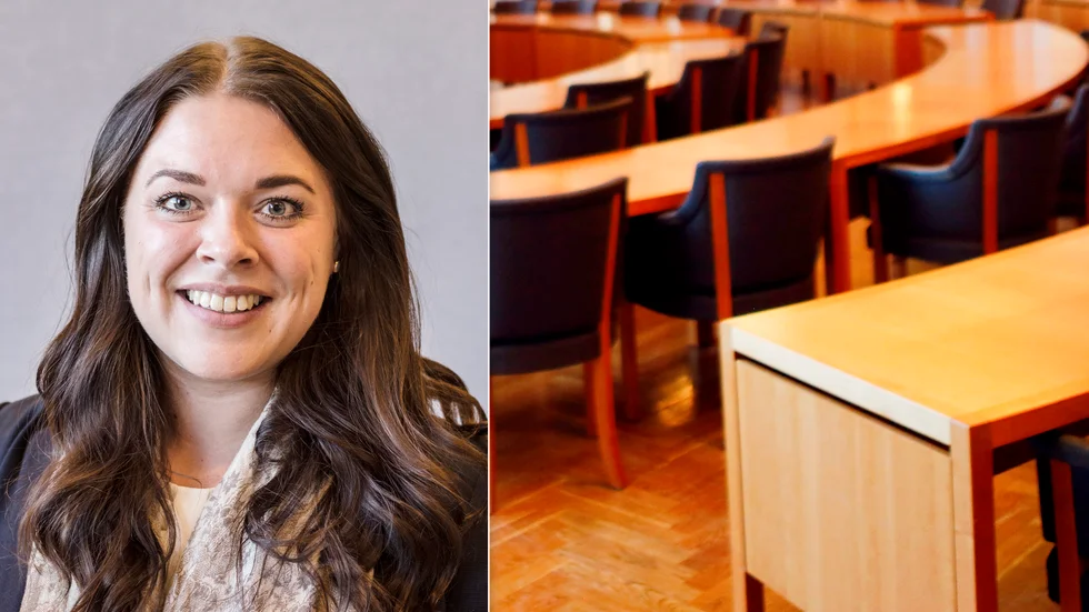 Emma Dahlin (M) och övriga Moderater i Flens kommun vill att ett ungdomsråd införs i kommunen.