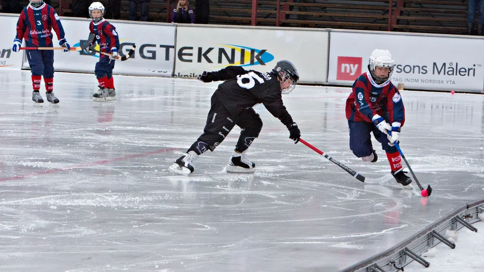 Det är knattarnas dag på Backavallen när KVBS avslutar bandysäsongen med ungdomsturnering.