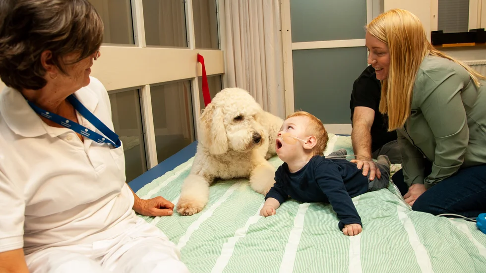 Werner Olsson, som har svår epilepsi till följd av syrebrist vid födseln, får träffa sjukhushunden Luna vid Akademiska sjukhuset.  Mamma Marielle Olsson och hundinstruktör Karin Holmström tittar på.