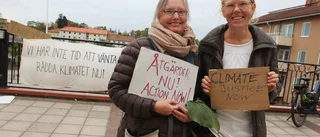 Manifestation för klimatet i Flen