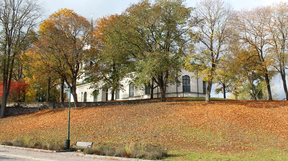 Här i slänten vill medborgarförslaget att vårblommor ska planteras.