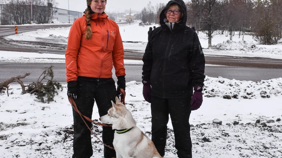  Linda Drugge och Maj-Britt Tornéus och hunden Singi var på plats för att se husflytten. 