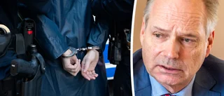 Kvartett åtalas för hemfridsbrott hos landshövdingen