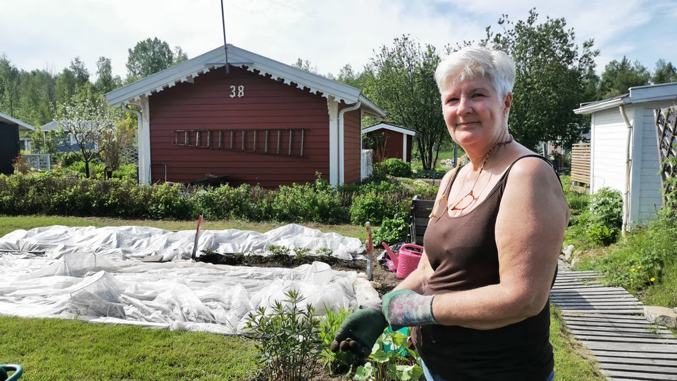 "Jag sätter allt under duk till och börja med, så det jag sår kommer upp fortare", säger Eva-Britt Larsson.