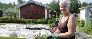 Odlingsintresset frodas: "Kul att hålla på"