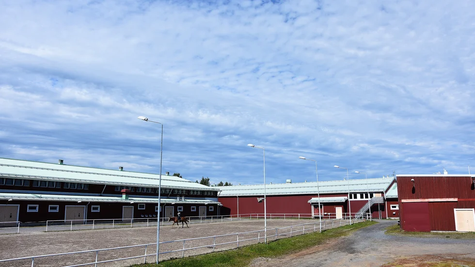 Bodens Ridklubb har fått beviljat 175 000 kronor till en instruktörstjänst.
