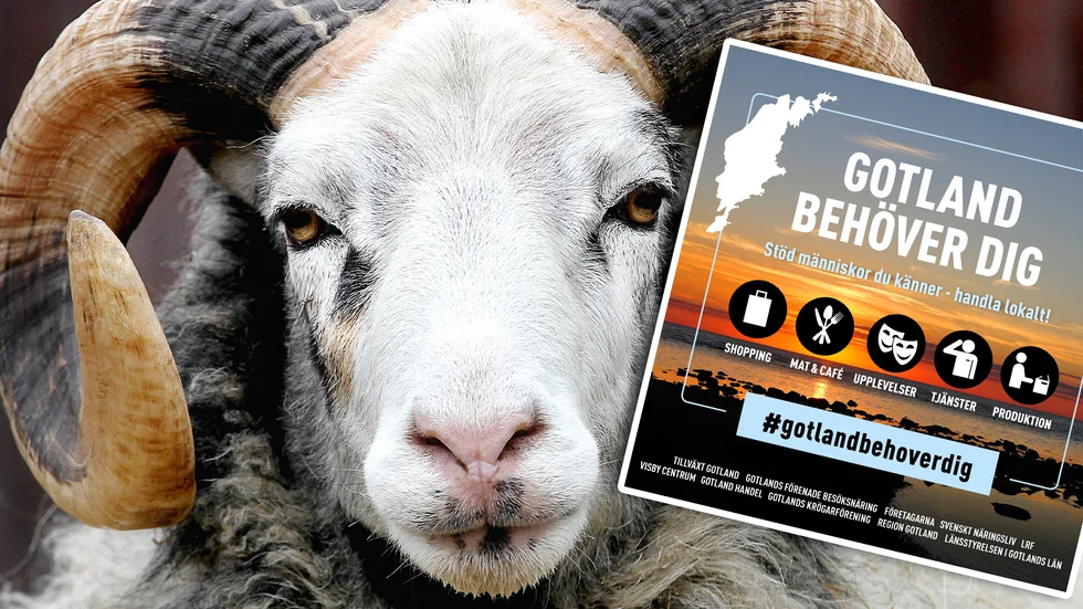 Under hashtagen #gotlandbehoverdig samlas näringslivet, Region Gotland och länsstyrelsen för att få gotlänningar att välja Gotländskt.