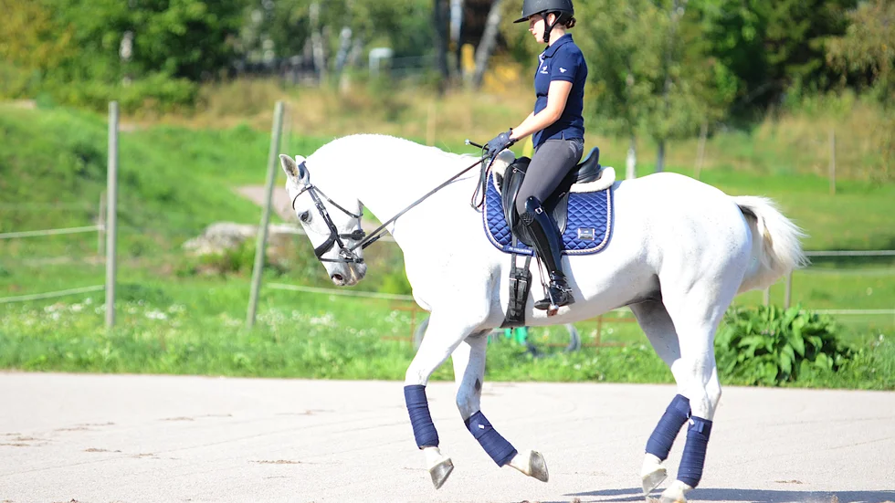 Filippa Ljungberg på Kool Bouncer, Mylo kallad, kämpar vidare trots att det sedan i söndags inte arrangeras några ridsporttävlingar i Sverige.