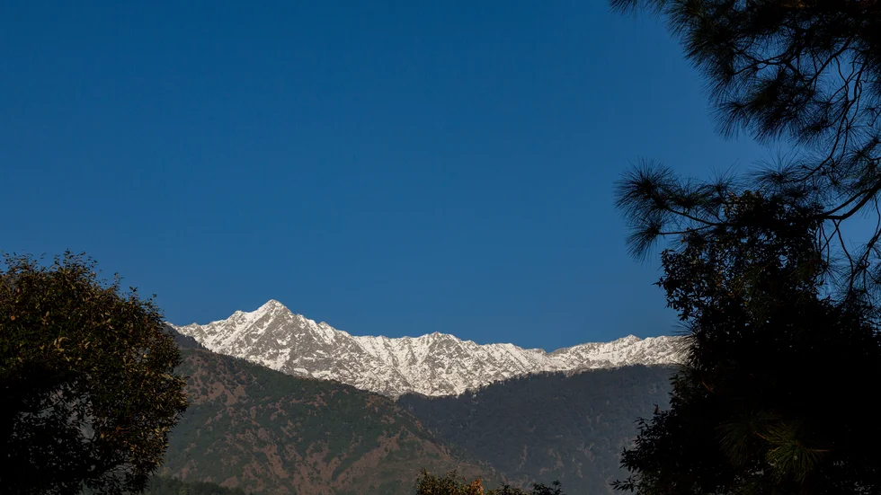 I vissa delar av Indien har man inte kunnat se Himalaya på över 30 år, vilket man kan i dag på grund av att luftföroreningarna har minskat drastiskt. Skribenten hoppas att miljöeffekterna ska fortsätta även efter coronakrisen.