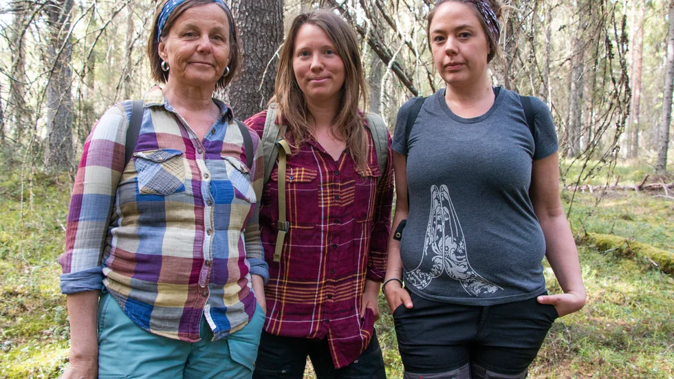 Det populära friluftsområdet vid Degerberget hotas av omfattande skogsavverkningar. Nu vill Naturskyddsföreningen göra området till naturreservat. Maud Söderholm Häll, Louise Berglund och Anna Engelmark