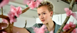 Nappträd för vuxna visas i Sigtuna kulturgård
