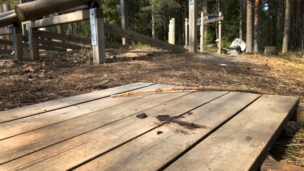 Utegymmet på Strömlida kletades ned bajs någon gång under helgen.