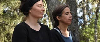 De hjälper folk att skogsbada – för hälsans skull