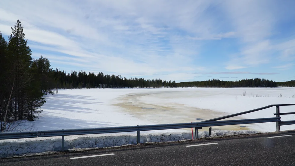 På andra sidan bron syns den gamla strandlinjen tydligt vid trädgränsen till vänster. "Men vattnet når aldrig i närheten av så högt upp längre", säger Lotta Svensson. 