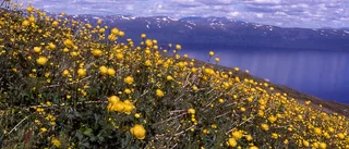 Fjällturismen redo för en kanonsommar: ”Ökande behov av att vara nära naturen”