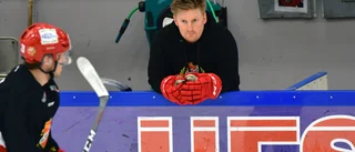 SHL-meriterad målvakt nära Almtuna