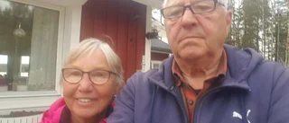 Björn dödade älg på gräsmattan – varning för starka bilder