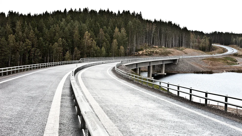 Bron över Forssjösjön har drabbats av sprickbildningar i de plintar, som bidrar till att hålla upp bron. Det är vid det norra brofästet sprickorna finns. 