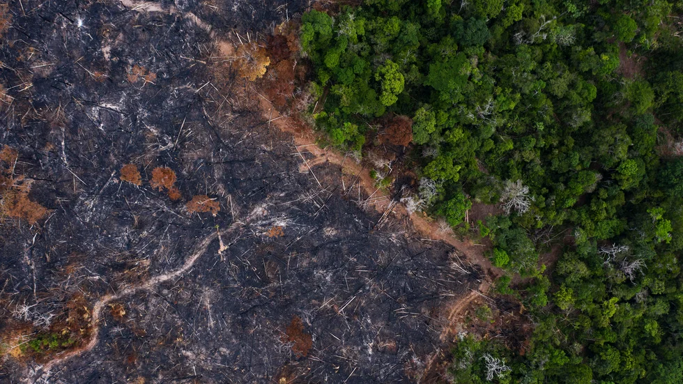Bränd skog i brasilianska Amazonas. Arkivbild.