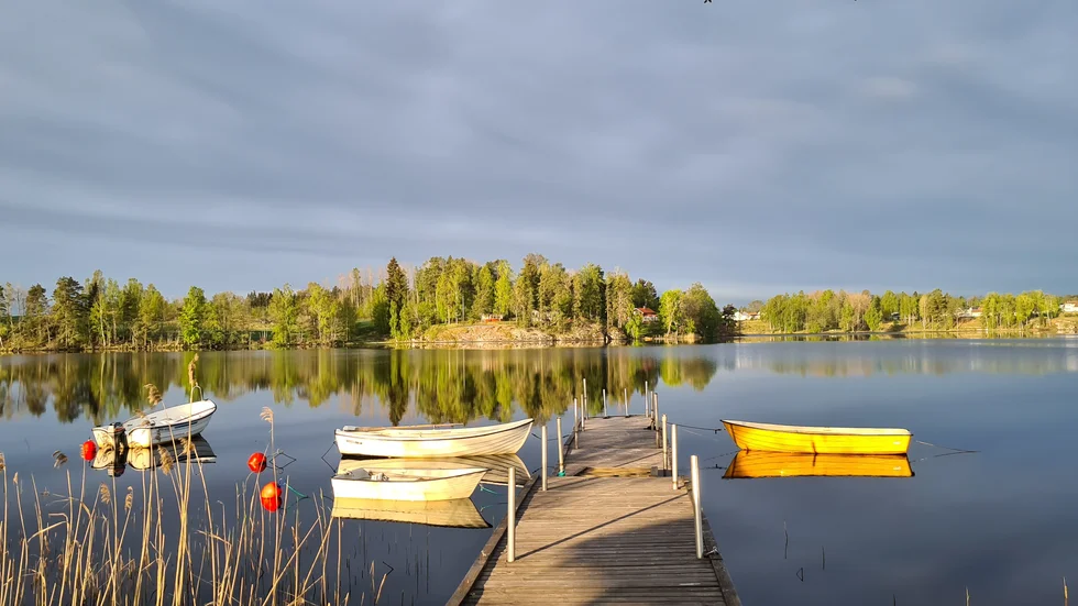 En fantastisk morgon vid Gron i Butbro.