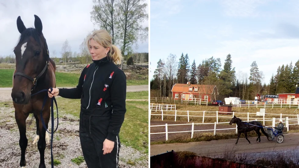 Katja Melkko och hästen Elian Web. Nu har Katja och hennes familj flyttat från Finland till en gård i närheten av Julmyra. 