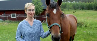 Calle skulle slaktas – nu fyller han 30