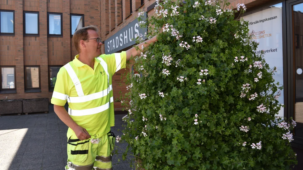 Peter Lingeteg placerar ut en stor blomurna vid stadshuset.