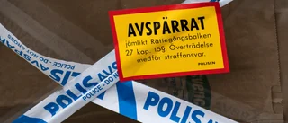 Folket på gården väcktes av tjuvar