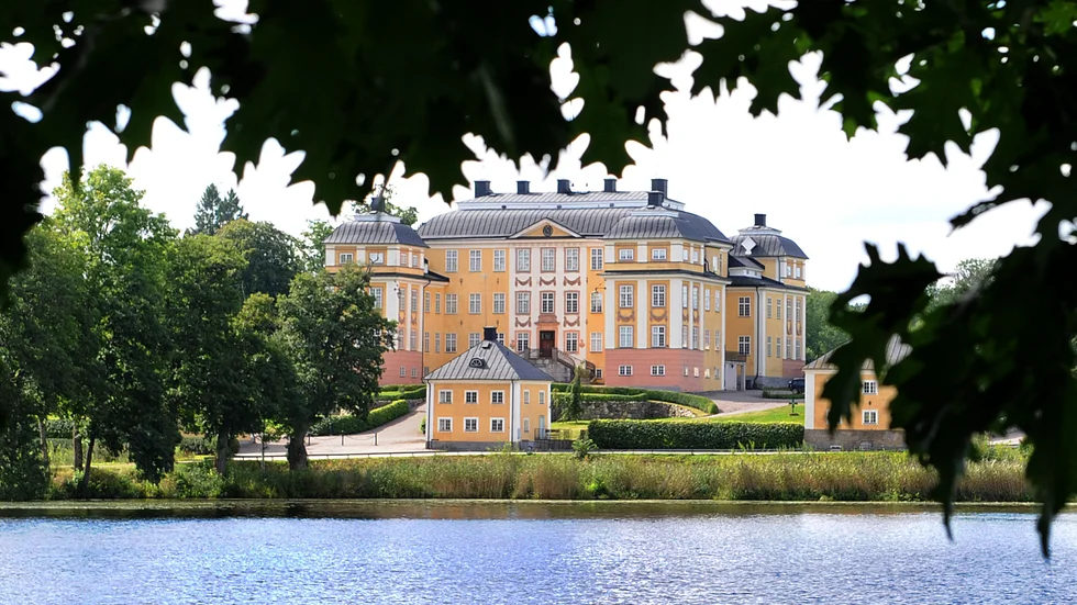 Efterfest i parken vid Ericsbergs slott. 