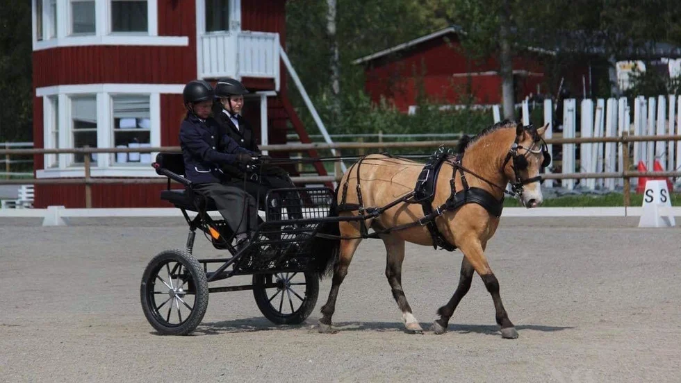 Saga Pettersson är yngst i ungdomslandslaget.
