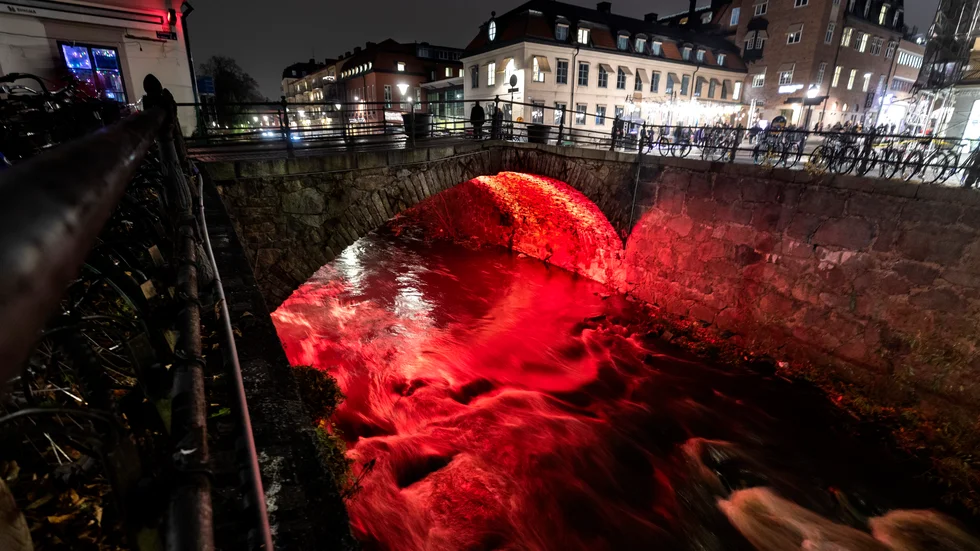 Ljusinstallationen ”Glöd över vatten” färgade Fyrisåns vatten rött under Dombron 2019.