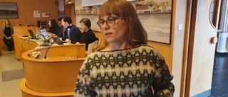 Socialistiskt alternativ varnar för privata investeringar