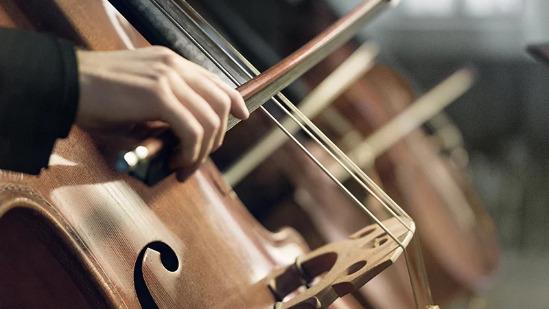 Länsmusiken misstänks ha utsatts för bedragare. Den regionfinansierade stiftelsen är bland annat huvudman för kammarorkestern Camerata Nordica som återkommande spelar i Västervik.