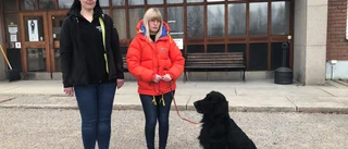 De riskerar att förlora sin nya klubblokal