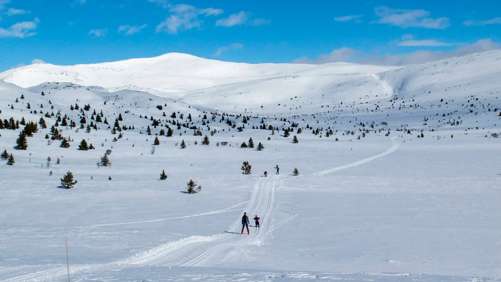 Regionen vädjar till alla norrbottningar att i år välja bort påskfirandet i fjällvärlden.