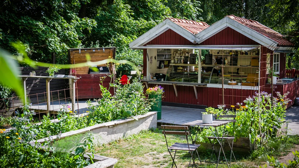 På Fåfängan i Nyköping har man bullat dupp med en maffigt sommarprogram.
