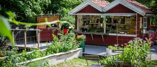 Hoppet lever på Fåfängan – trots coronapandemin